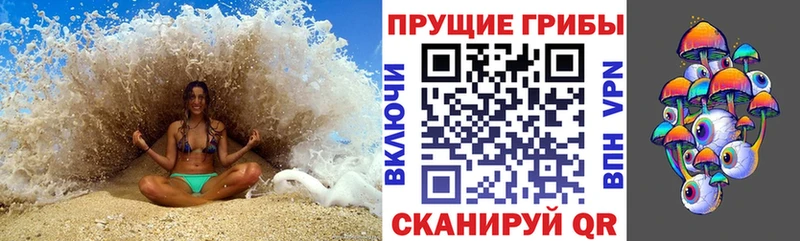 Купить где  Великий Устюг  Галлюциногенные грибы Psilocybe 