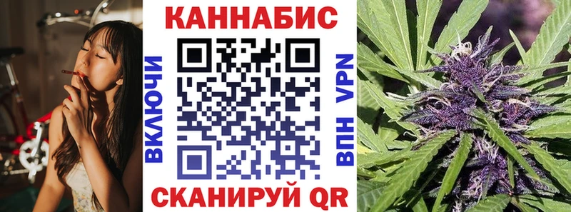 Купить  Великий Устюг  Шишки марихуана SATIVA & INDICA 